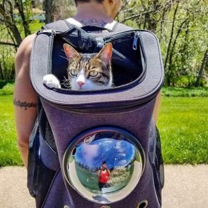 The Fat Cat Backpack For Larger Cats Capsule Bubble Window Cat Carrier