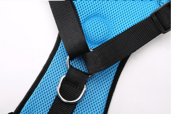 Dog Safety Harness And Car Safety Strap Set 3 Colors 4 Sizes For Comfort And Prefect Fit