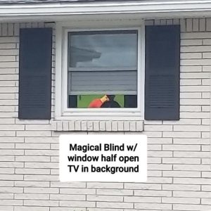 1 Way Vision Horizontal Blinds Applies To Exterior