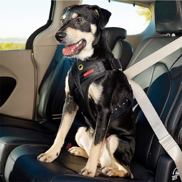 Travel Dog Car Harness Premium Vehicle Restraint Vest For Protection And Comfort Trabyhand