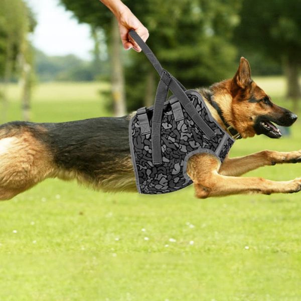 Full Body Support Dog Lift Harness