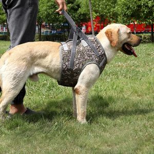 Full Body Support Dog Lift Harness