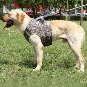 Full Body Support Dog Lift Harness