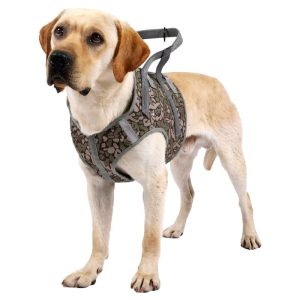 Full Body Support Dog Lift Harness