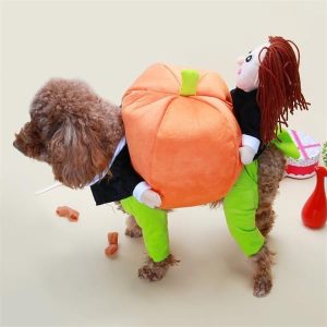 Halloween Special 49 Dog Cat Pumpkin Halloween Costume