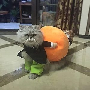 Halloween Special 49 Dog Cat Pumpkin Halloween Costume