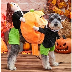 Halloween Special 49 Dog Cat Pumpkin Halloween Costume