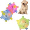 Jumping Activation Ball For Dogs Jump Ball Toys For Pet Color Random