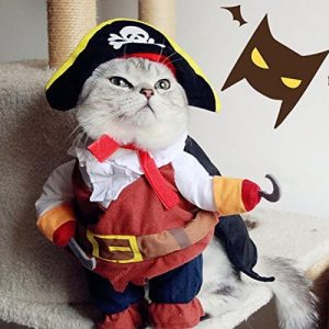 Halloween Costume For Cats