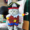 Halloween Costume For Cats