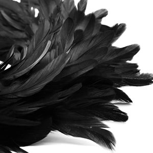 Black Halloween Feathers Wreath