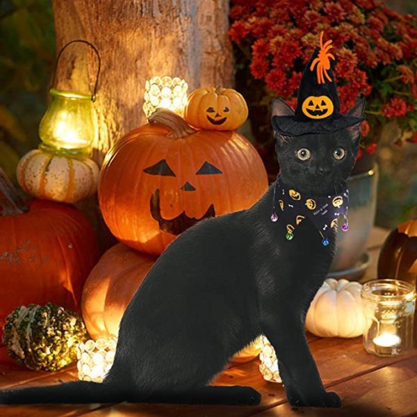 Halloween Costumes For Cats