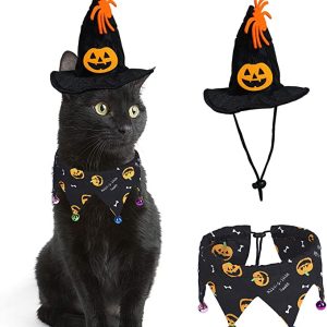 Halloween Costumes For Cats