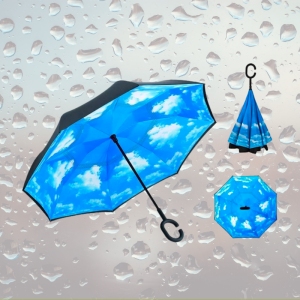 Reversible Umbrella