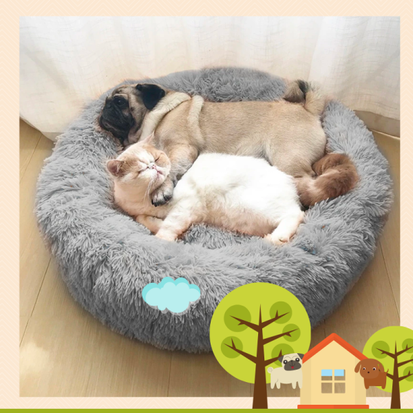 Comfy Calming Soft Pet Bed