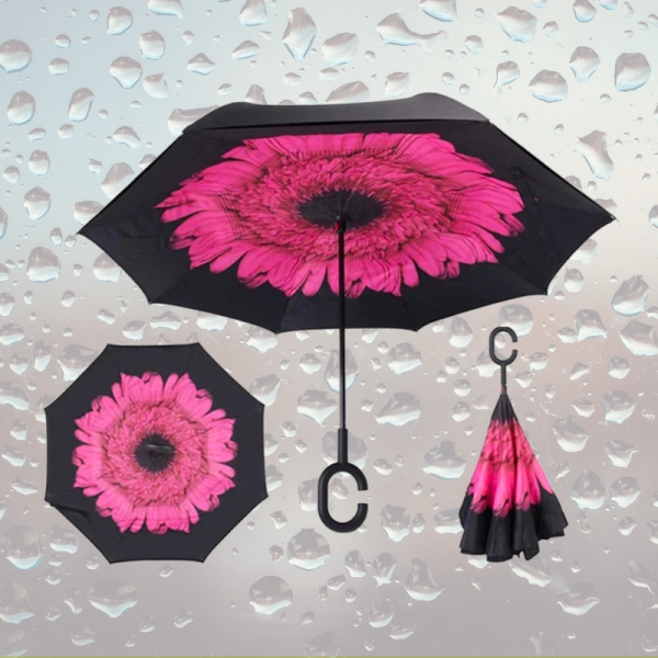 Reversible Umbrella