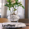 Leviplant