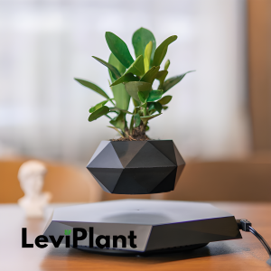 Leviplant