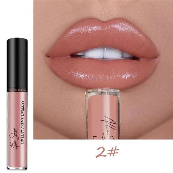 Waterproof Long Lasting Moist Gloss