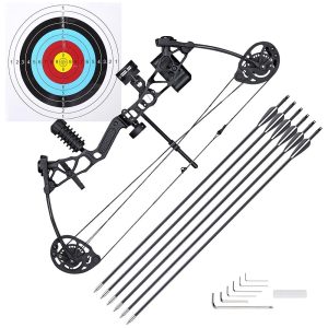 Youth Compound Bow And Arrows(6) Archery Set