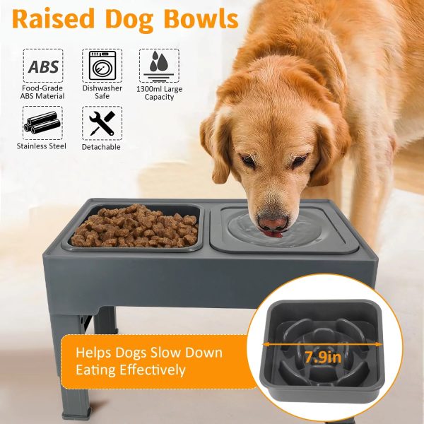 Elevaty 2 In 1 Elevated Slow Feeder With No Spill Water Bowl