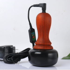 Bian Stone Warming Moxibustion Apparatus