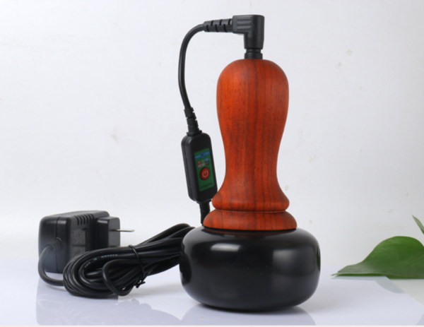 Bian Stone Warming Moxibustion Apparatus