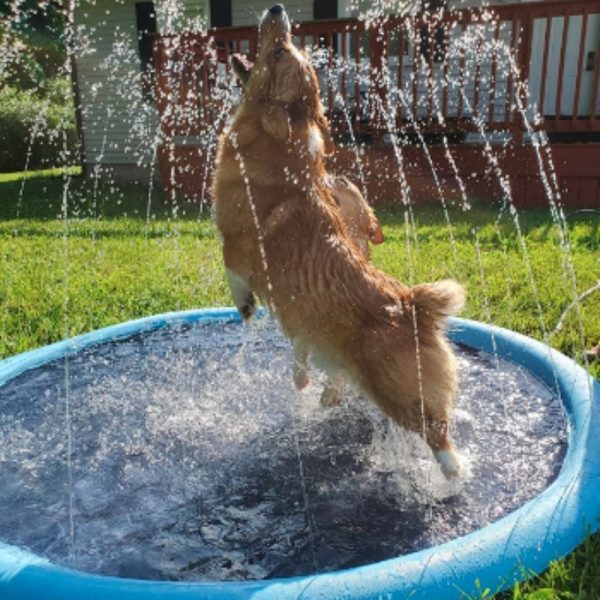 Non-Slip Splash Pad For Kids And Dog