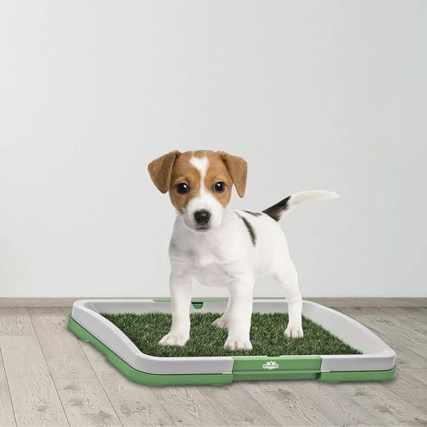 Dog Potty Training Lawn Grass