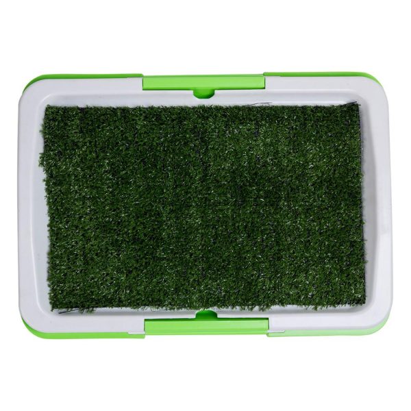 Dog Potty Training Lawn Grass