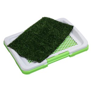 Dog Potty Training Lawn Grass