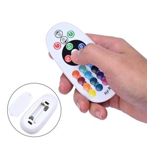 Led Neon Light Rf Remote & Controller Ac110V