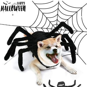 Arachnopup Halloween Dog Spider Costume