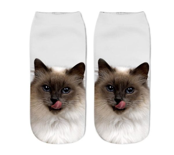 Various Cat Socks