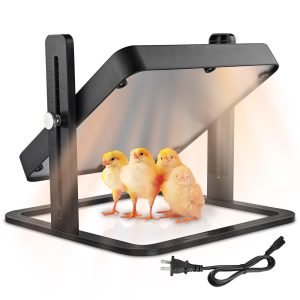 Chick Heating Plate Adjustable Height & Angle