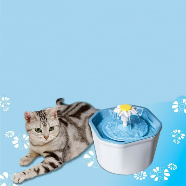 Premium Electric Cat Drinking Water Dispenser Fountain