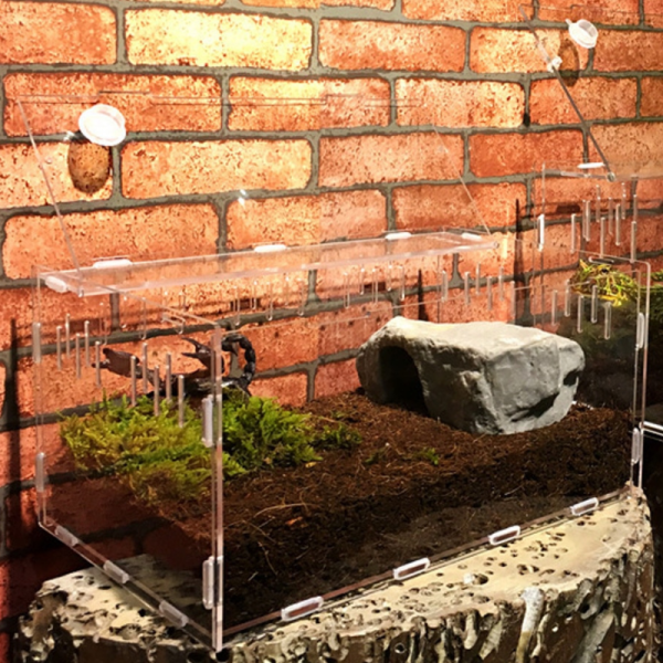 Premium Pvc Transparent Reptile Enclosure Terrarium Tank