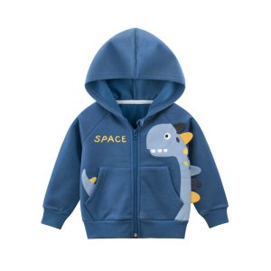 Boy Dinosaur Hoodie