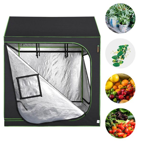 Roof Cube Grow Tent With Tray & Window 5X5X6Ft