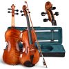 Vif Bv250 4/4 Full Size Maple Wood Advanced Violin & Case