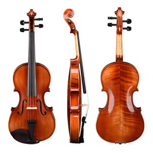 Vif Bv250 4/4 Full Size Maple Wood Advanced Violin & Case