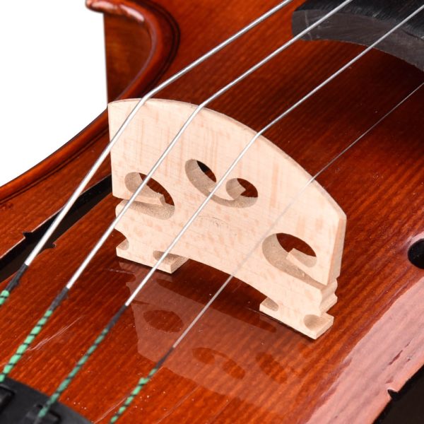 Vif Bv250 4/4 Full Size Maple Wood Advanced Violin & Case