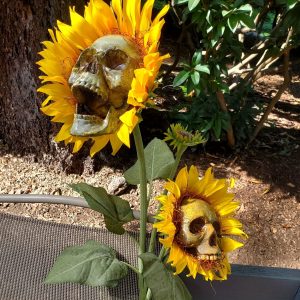 Halloween Sunflower Skull Head Garden Decoration