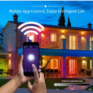 Wifi Smart Waterproof Outdoor Courtyard Floodlight