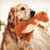 Dinosaur Dogs Chew Toys Durable Design