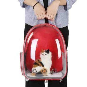 Cat Bag Full Transparent Pet Space Bag