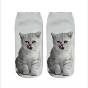 Various Cat Socks