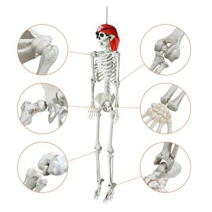 5.4Ft Posable Pirate Skeleton Outdoor Yard Decor