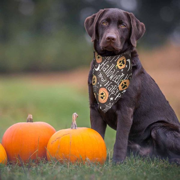 10-Pack Dog Bandanas Halloween Pet Scarf Washable 32X21X21