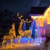 Lighted Reindeer Outdoor Decor(Buck, Fawn, Doe Option)